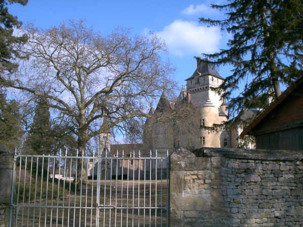 Château de Bresse sur Grosne (2)